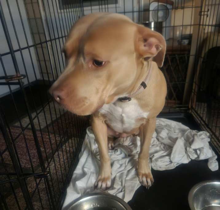 Photo of Diamond