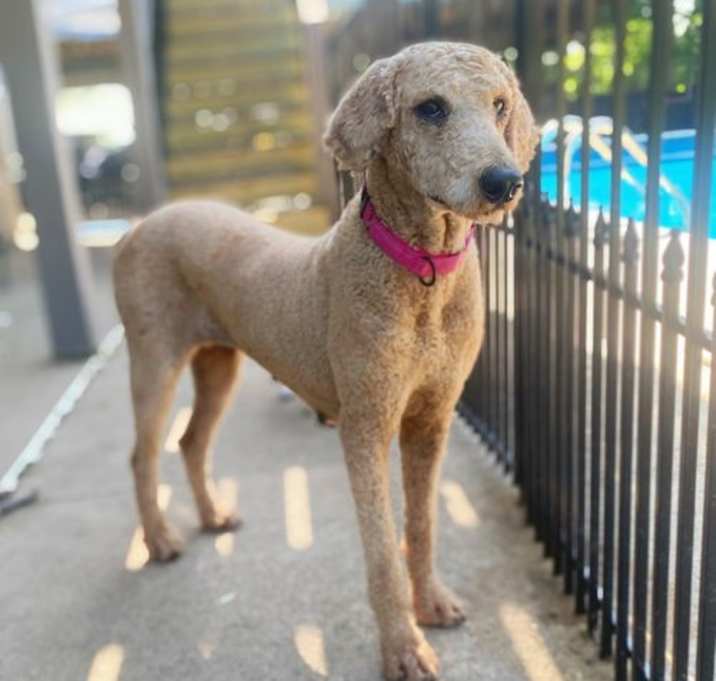 Photo of Annie