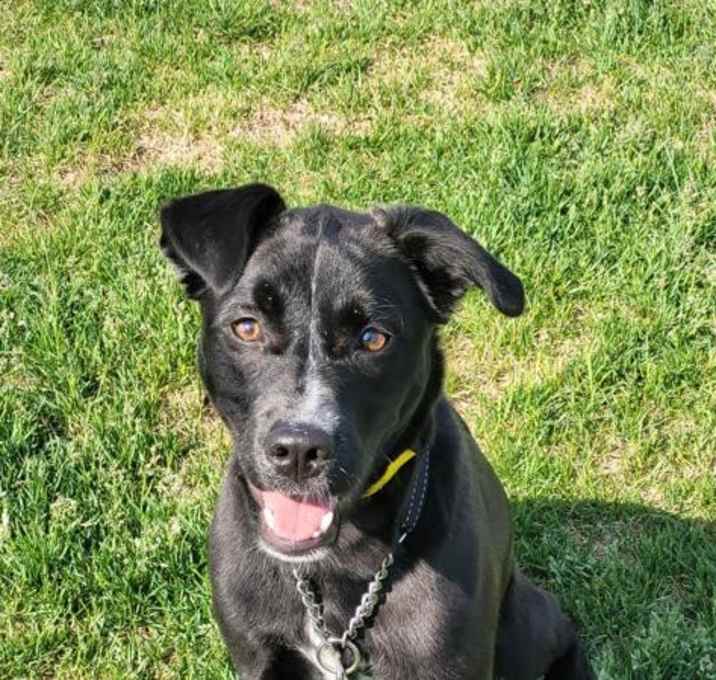 Photo of Topsy