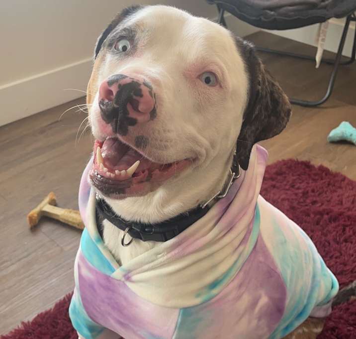 Photo of Indi