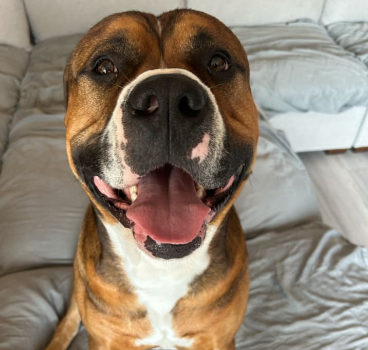 Photo of Tank
