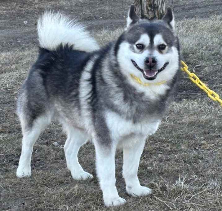 Photo of Jasper