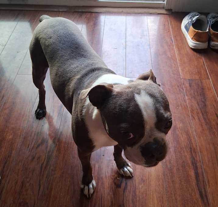Photo of Mush