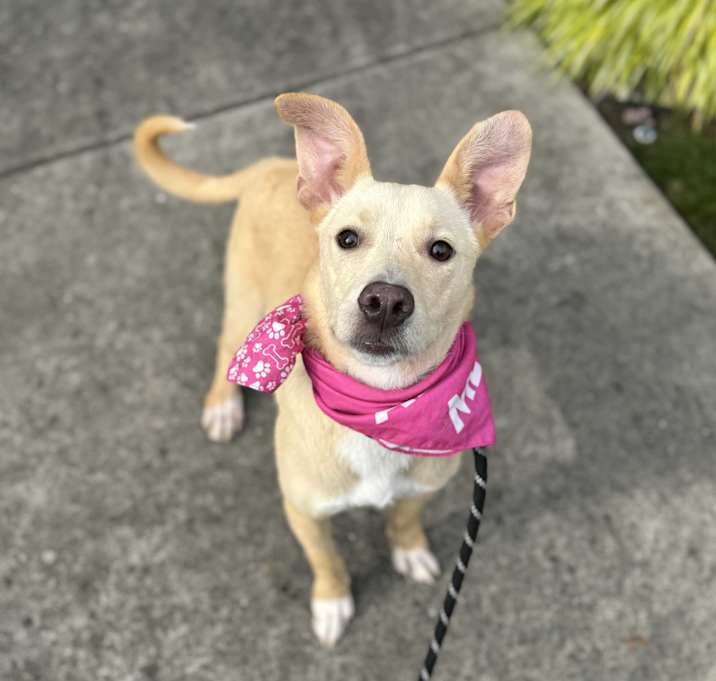 Photo of Ruby