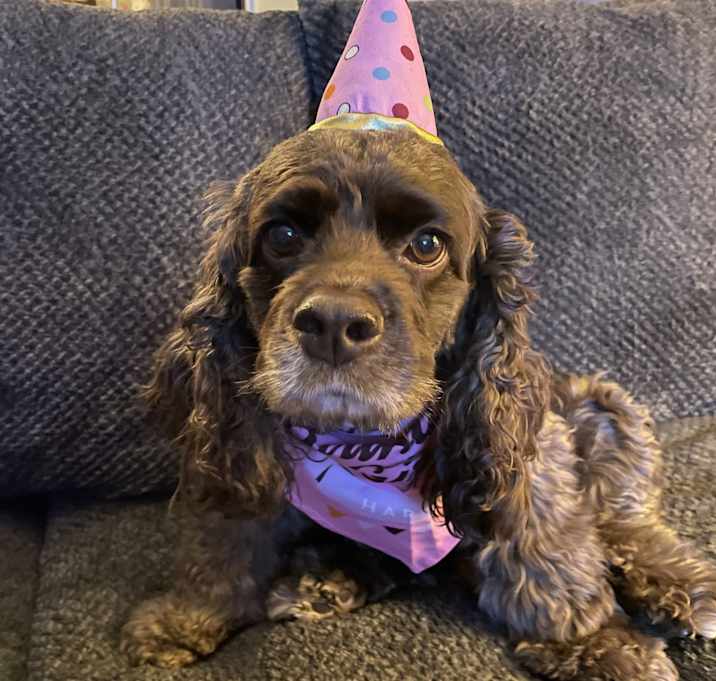 Photo of Charlie
