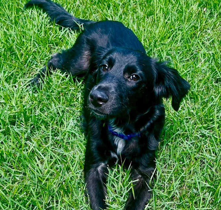 Photo of WALLY ❤️❤️