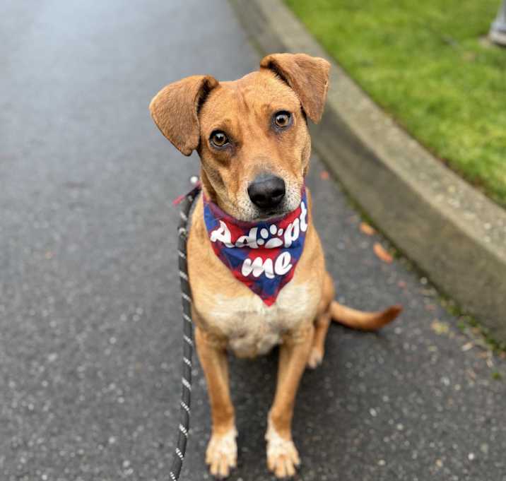 Photo of Peanut
