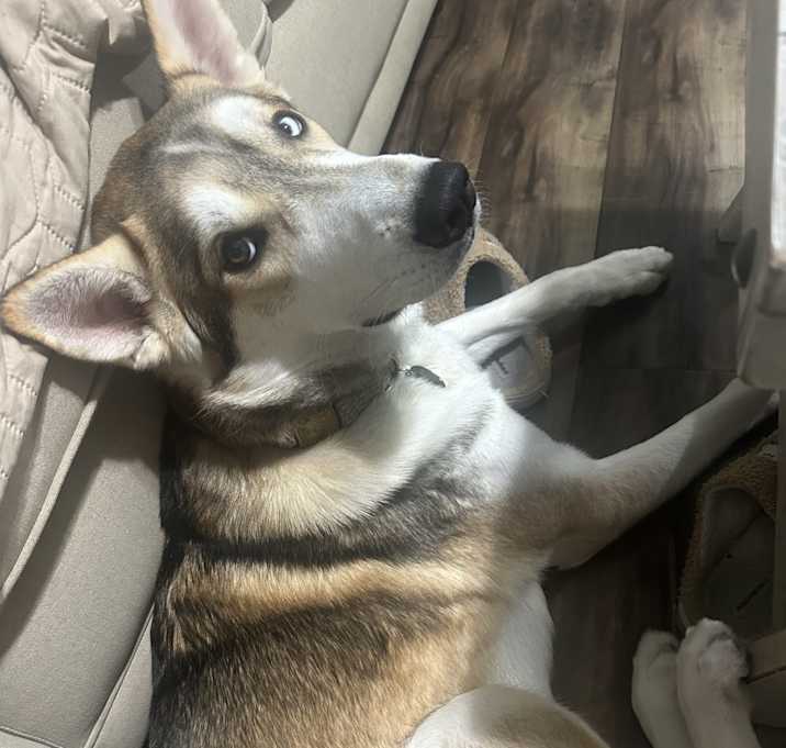 Photo of Winston