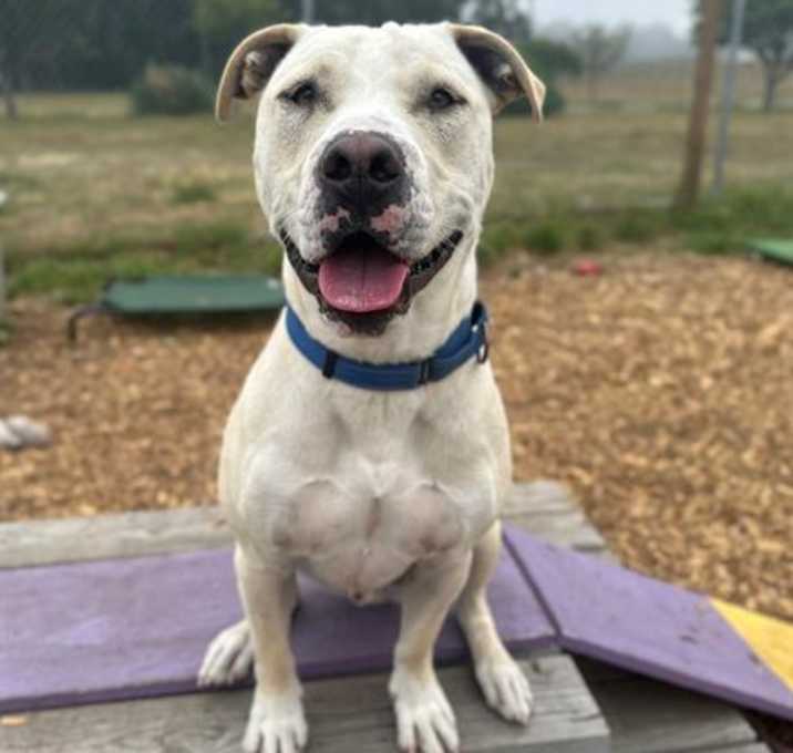 Photo of JASPER