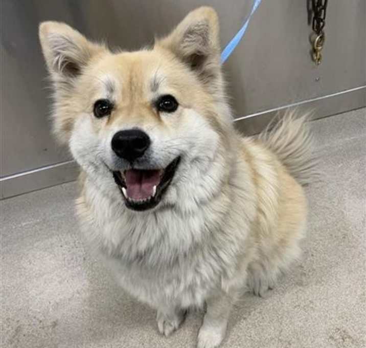 Photo of SOLAR