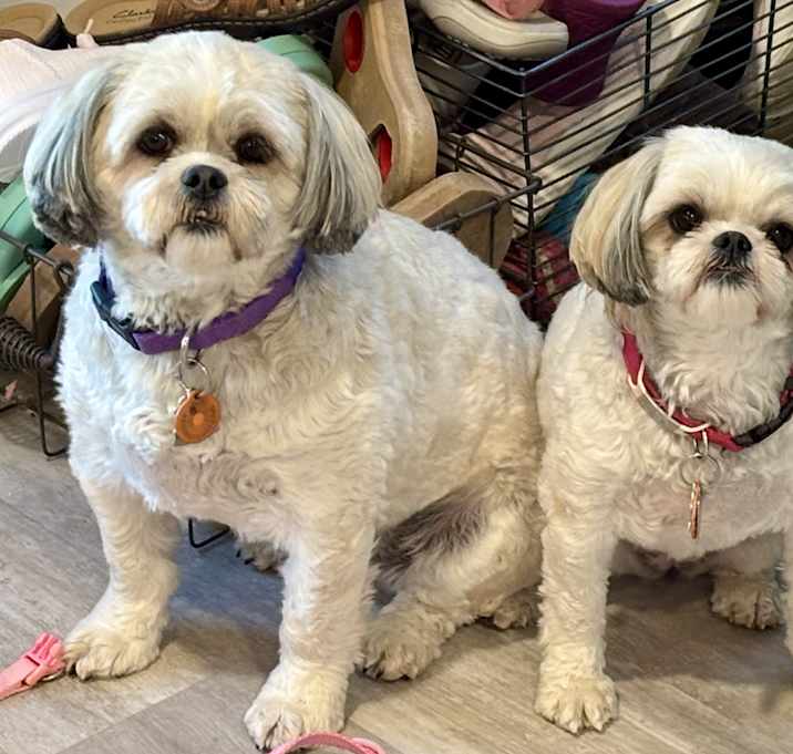 Photo of Bonnie & Tara