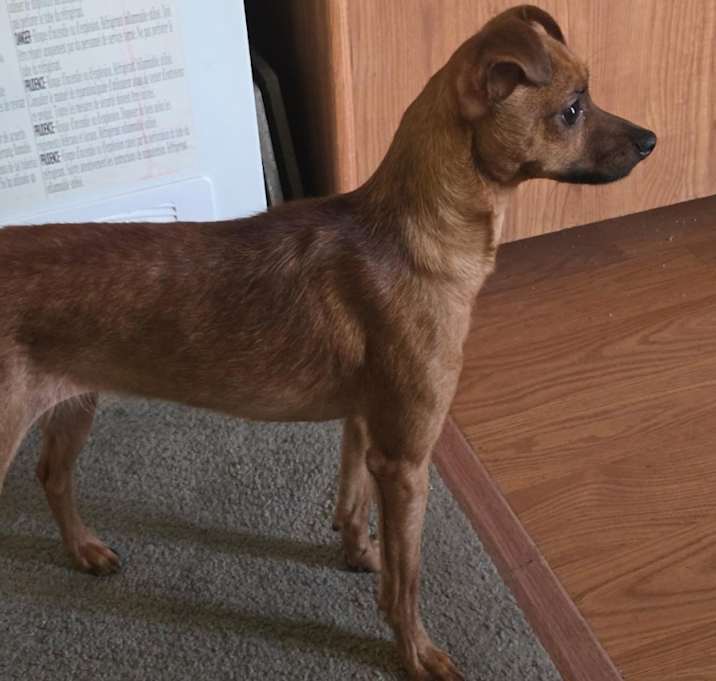 Photo of Baby
