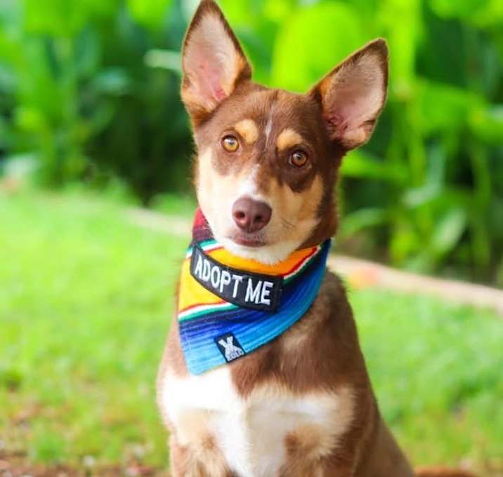 Photo of Twix 25-06-050