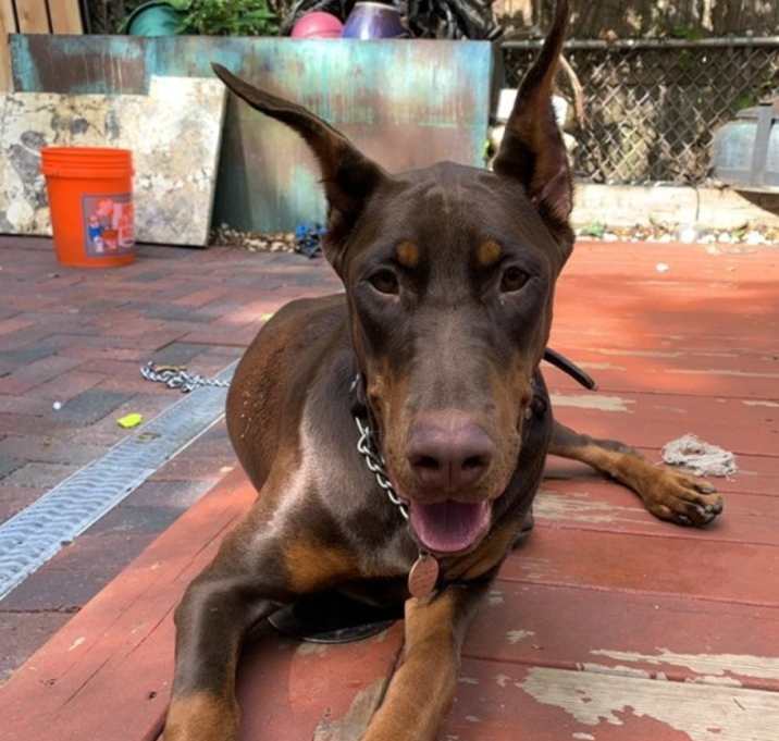 Photo of Maggie