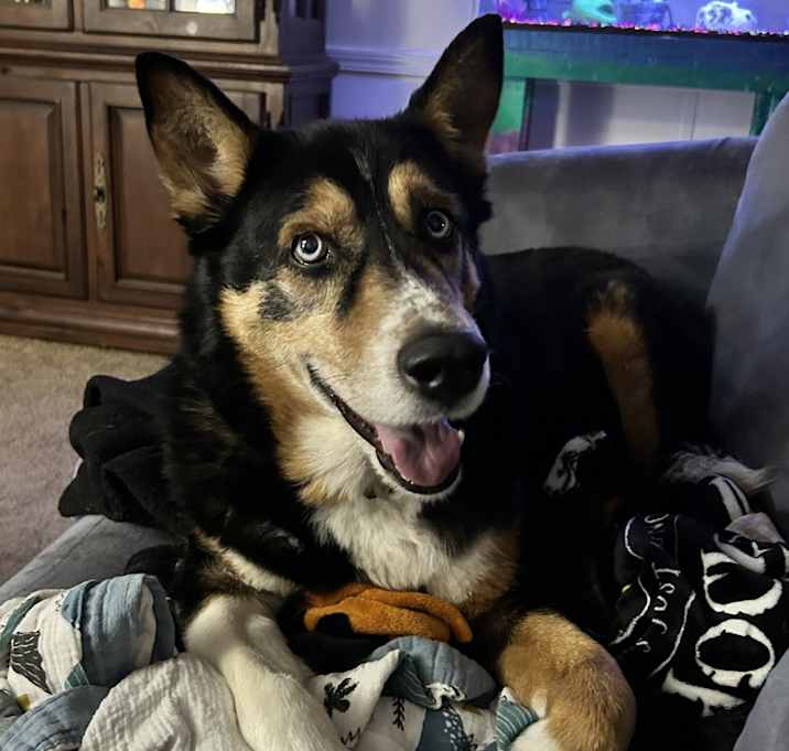 Photo of Brody