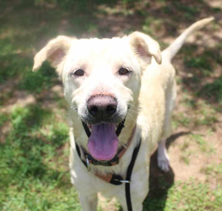 Photo of Molly