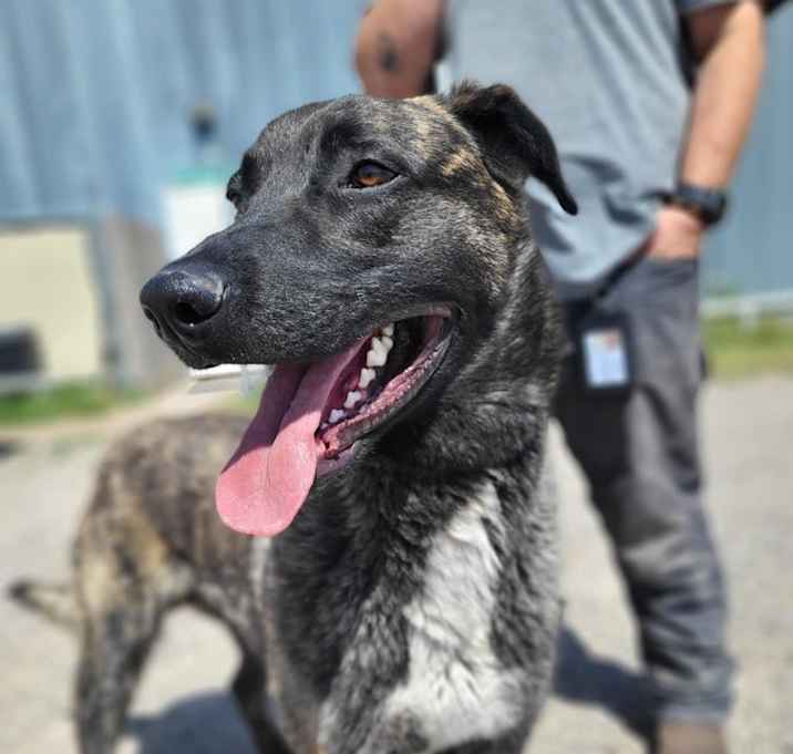 Photo of knox located in New Mexico