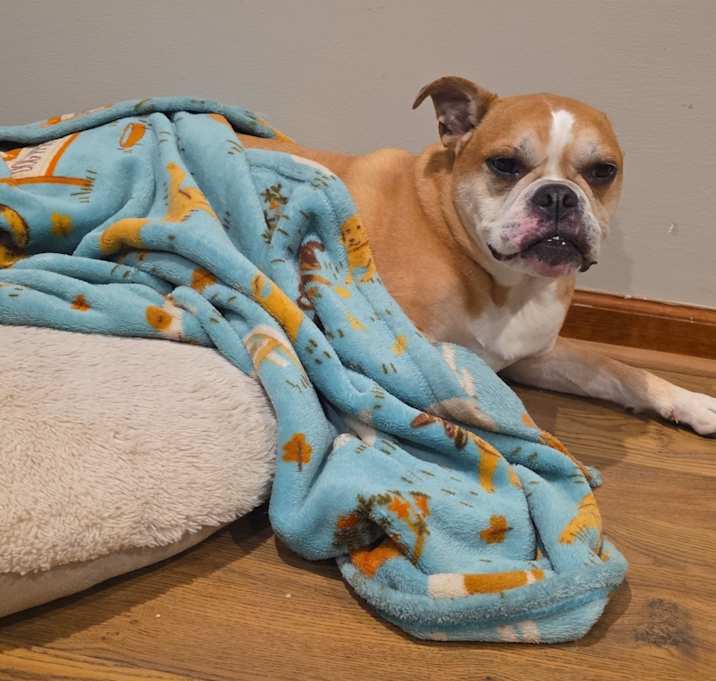 Photo of Coco