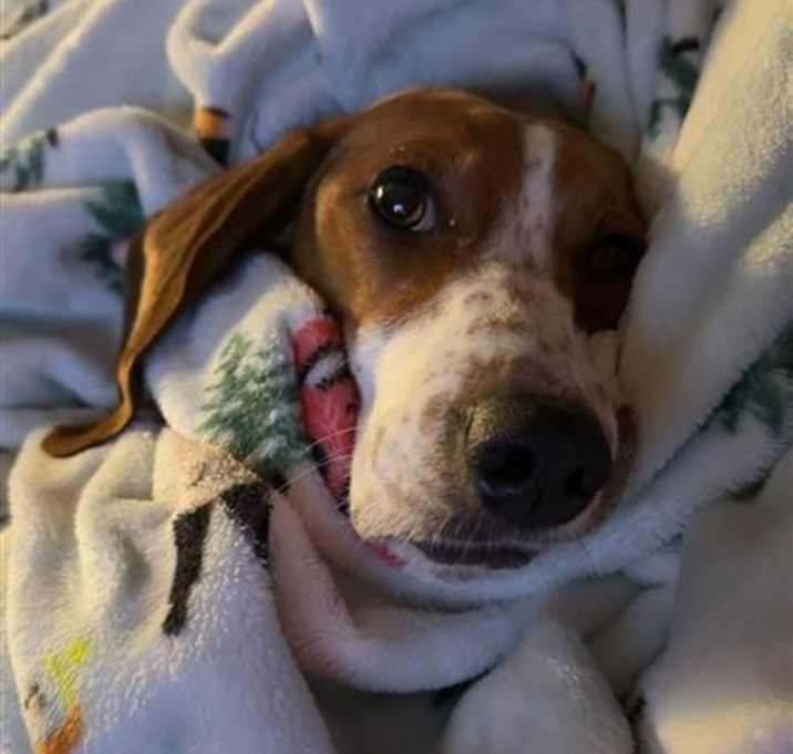 Photo of Lucy