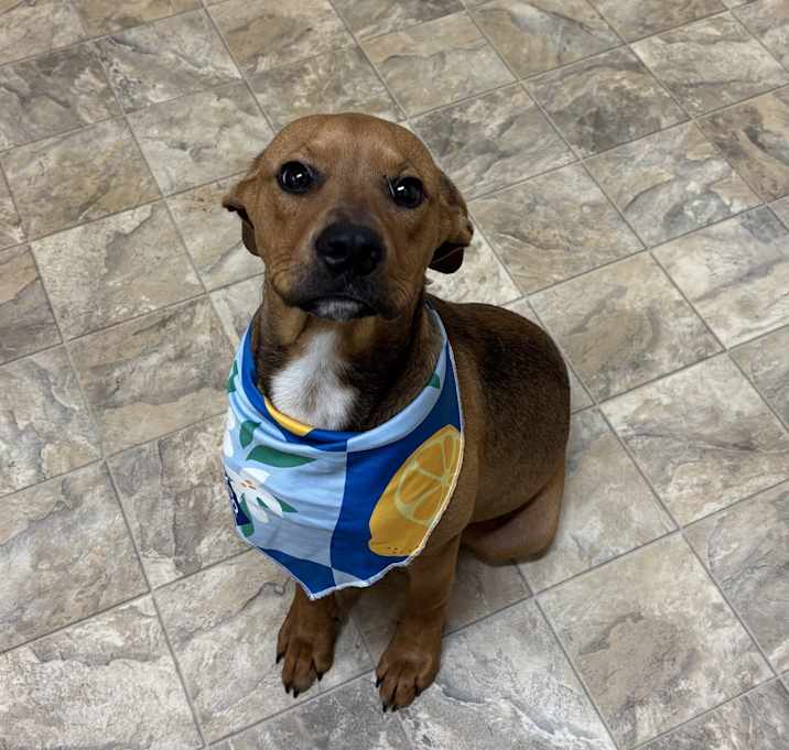 Photo of Benny Bob