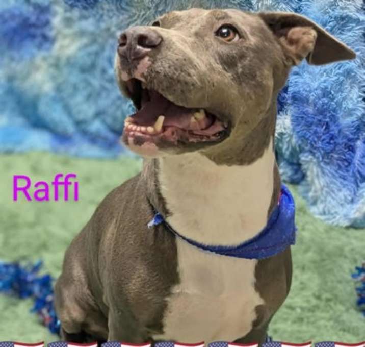 Photo of Raffi