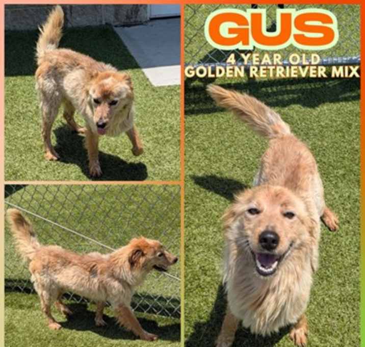Photo of GUS
