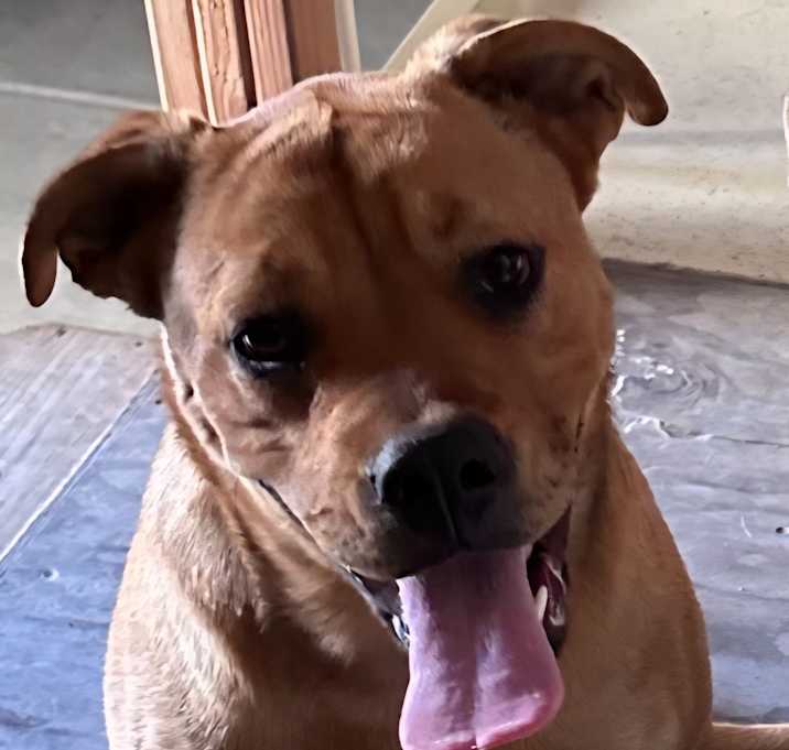 Photo of LUNA