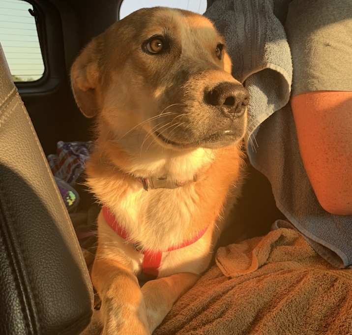 Photo of Sasha