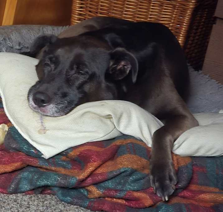 Photo of Rogue