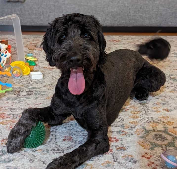 Photo of Luna