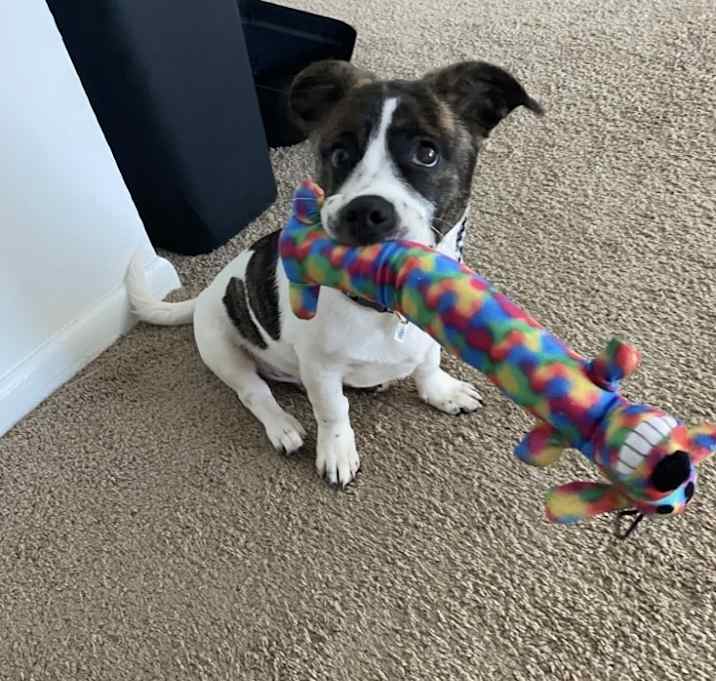 Photo of Jack jack
