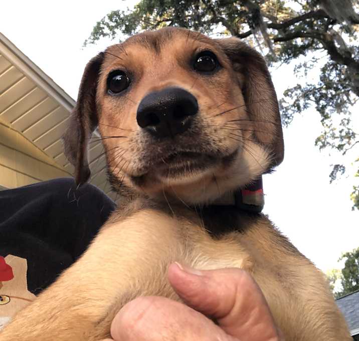 Photo of Charlie