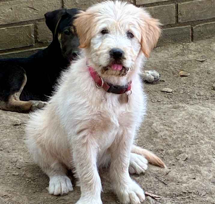Photo of ROXY