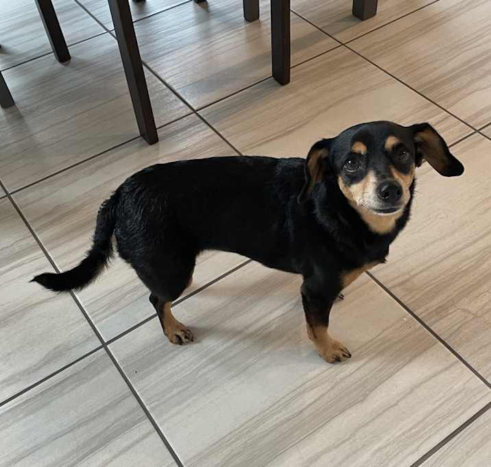 Photo of Molly