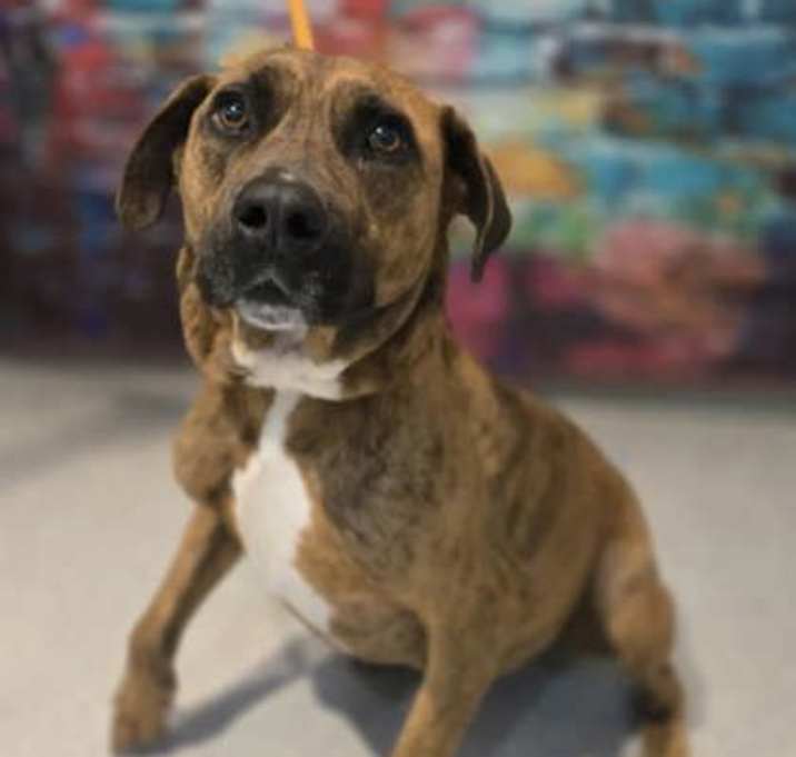 Photo of Wiggles