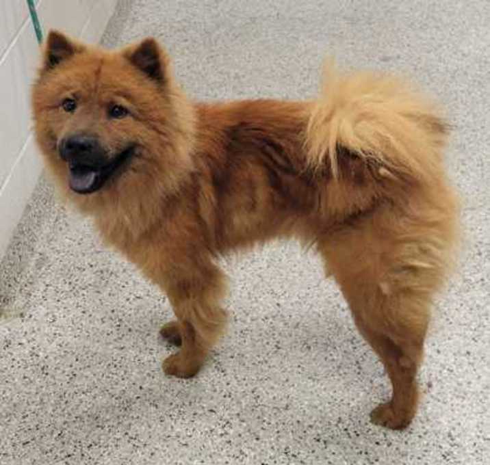 Photo of Kiki