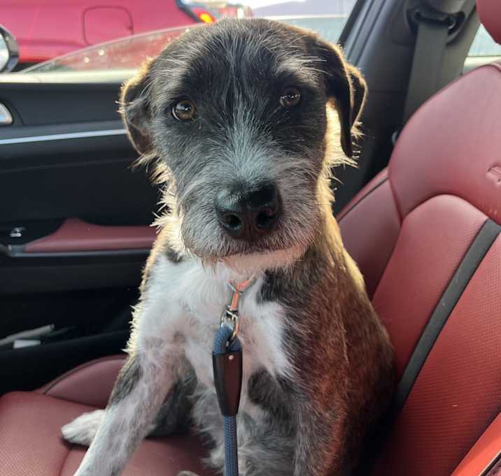 Photo of Rylo