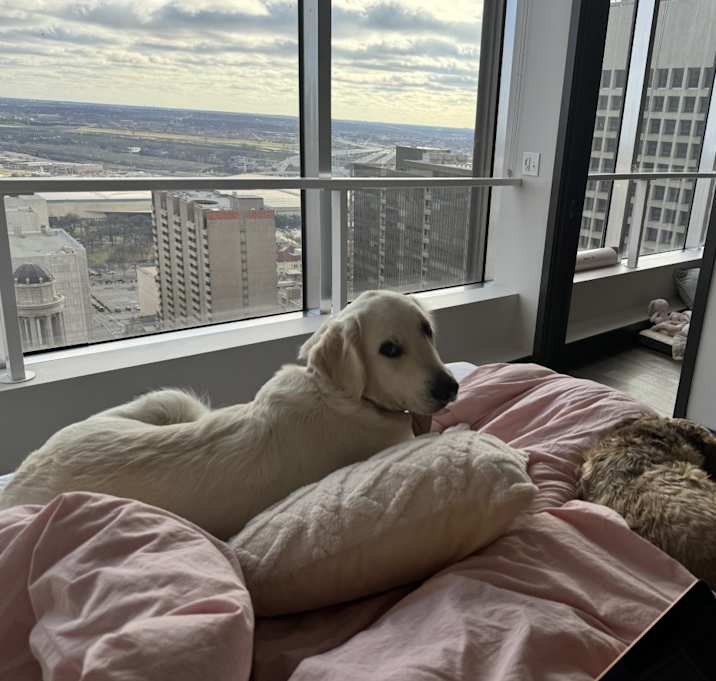 Photo of Cali