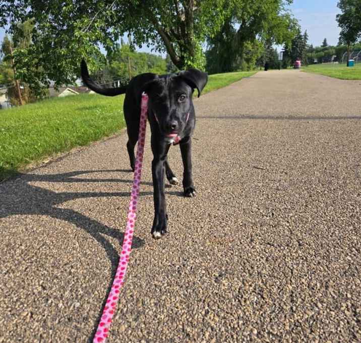 Photo of Molly