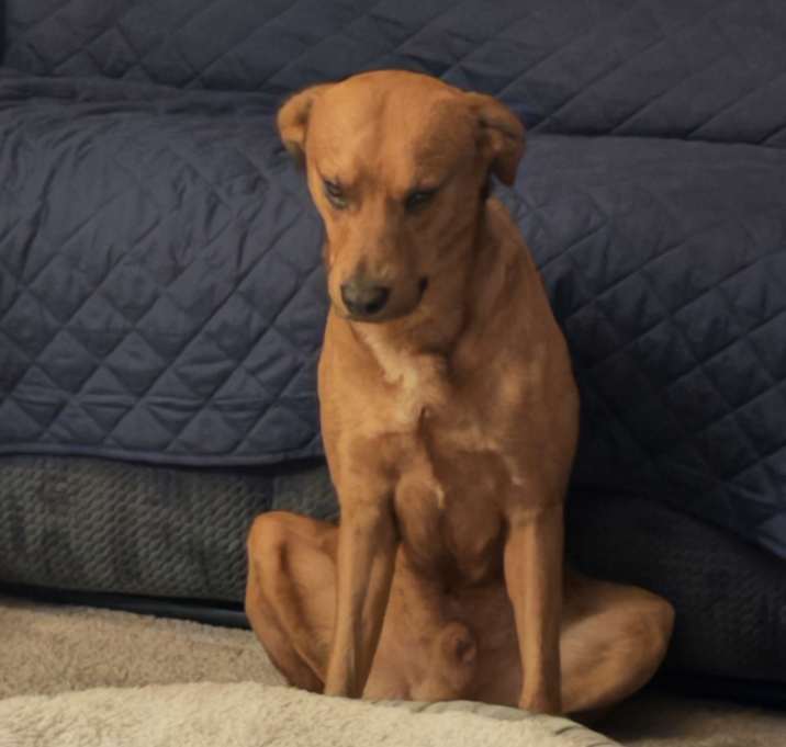 Photo of Max