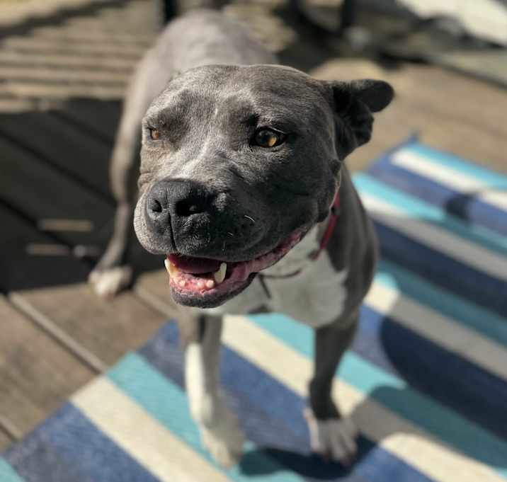 Photo of Zane