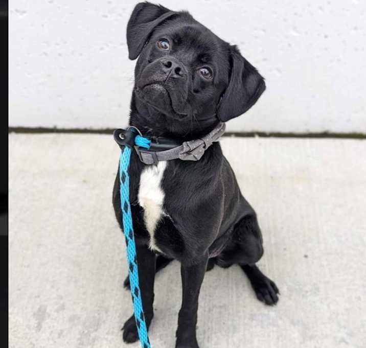 Photo of Bobby