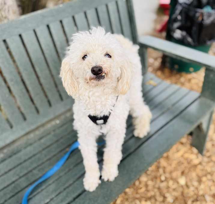Photo of Lex