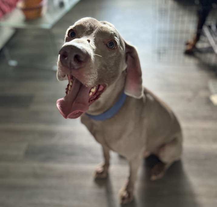 Photo of Charlie