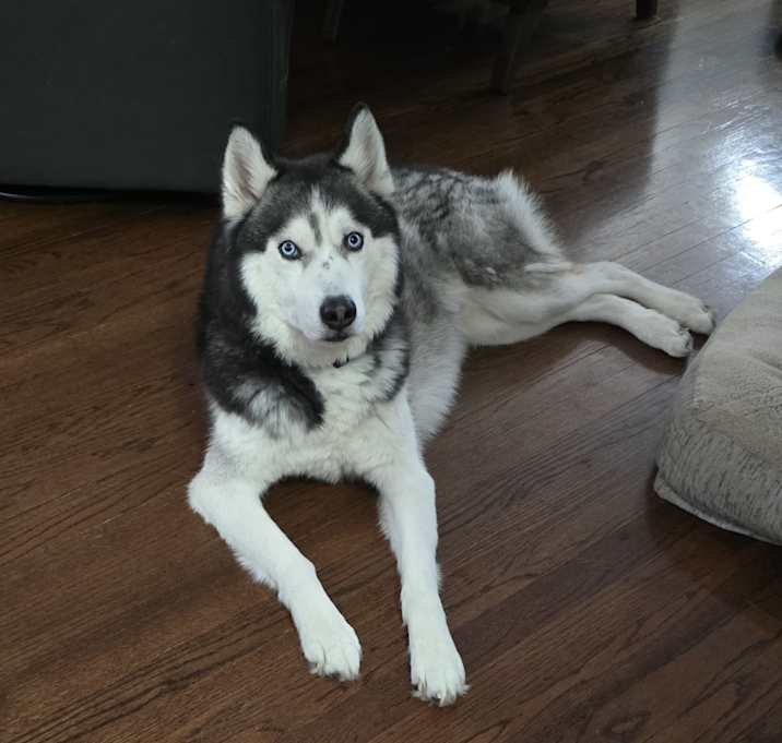 Photo of Remy
