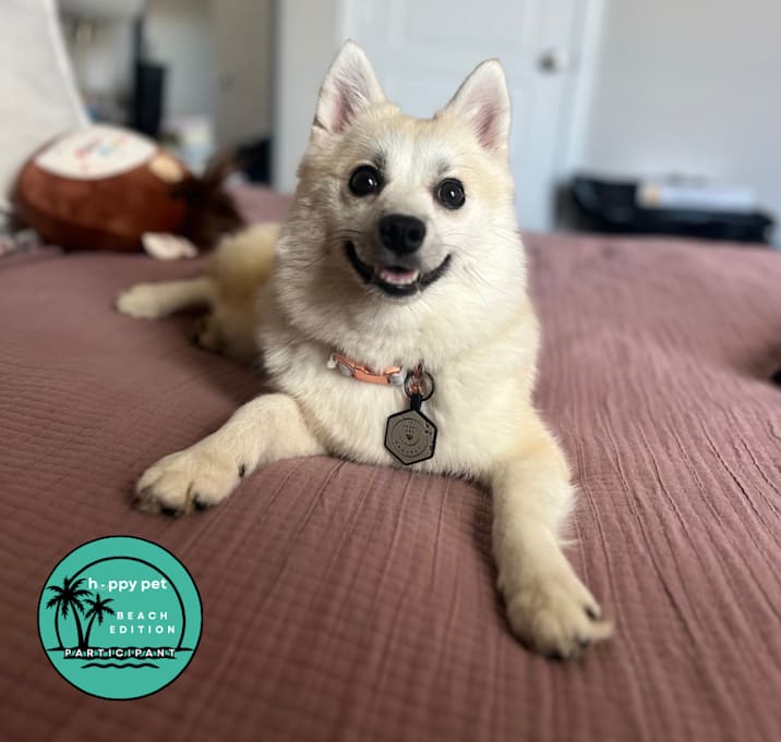 Photo of Kai