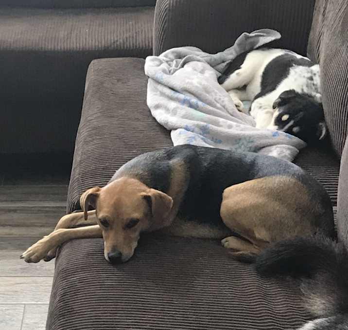 Photo of Ellie