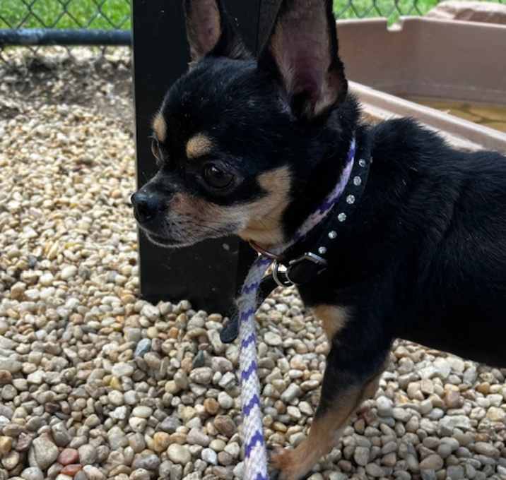 Photo of Bert