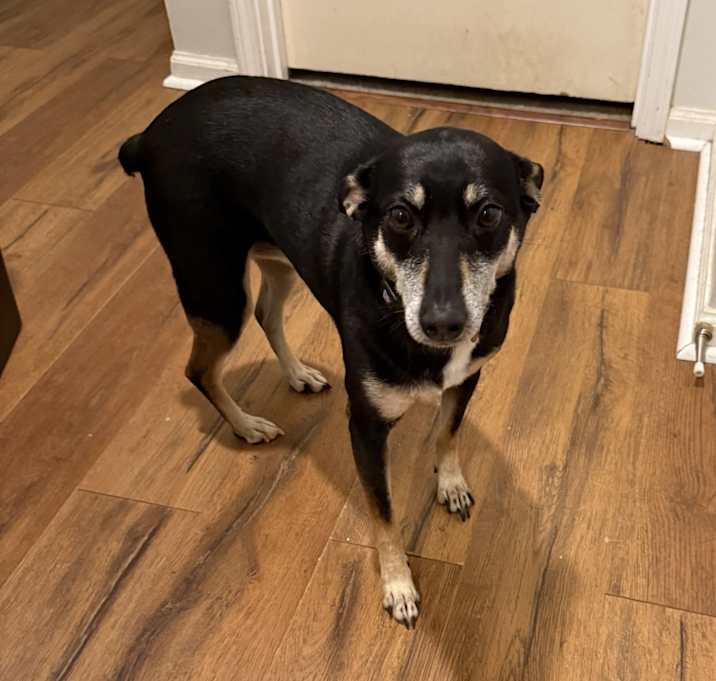 Photo of Lucy