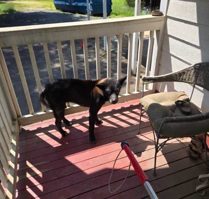 Photo of 2025-06-284*Lucky*
